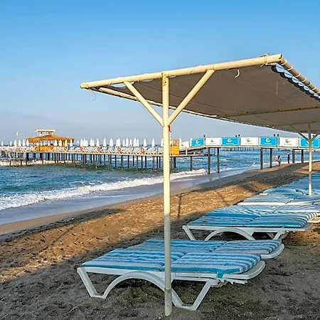 Palmeras Ultra
