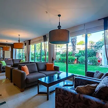 Palmeras Ultra